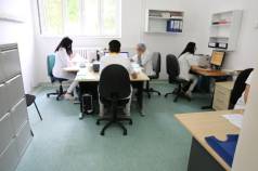 IMG 7802